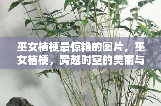 巫女桔梗最惊艳的图片，巫女桔梗，跨越时空的美丽与传说