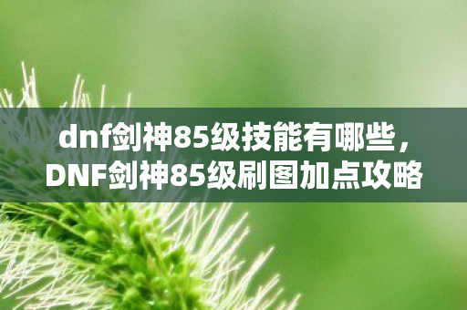 dnf剑神85级技能有哪些，DNF剑神85级刷图加点攻略