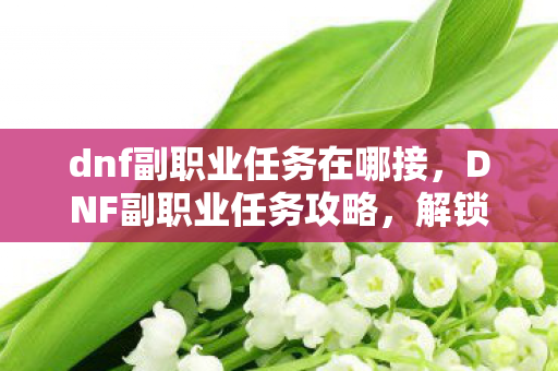 dnf副职业任务在哪接，DNF副职业任务攻略，解锁你的多重潜能