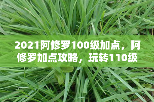 2021阿修罗100级加点，阿修罗加点攻略，玩转110级角色加点分配