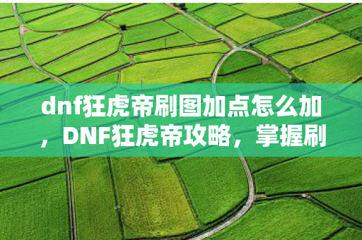dnf狂虎帝刷图加点怎么加，DNF狂虎帝攻略，掌握刷图加点技巧，轻松提升游戏体验