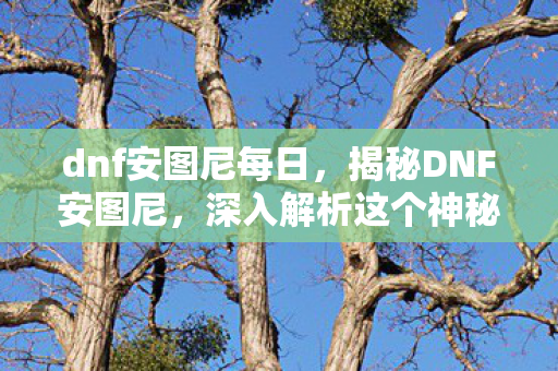 dnf安图尼每日，揭秘DNF安图尼，深入解析这个神秘地下城