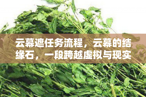 云幕遮任务流程，云幕的结缘石，一段跨越虚拟与现实的奇妙旅程