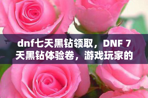 dnf七天黑钻领取，DNF 7天黑钻体验卷，游戏玩家的福音