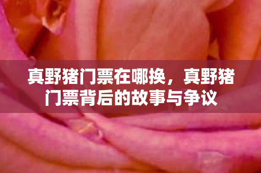 真野猪门票在哪换，真野猪门票背后的故事与争议