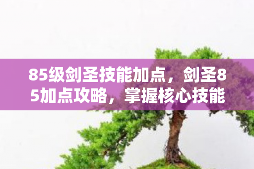 85级剑圣技能加点，剑圣85加点攻略，掌握核心技能，轻松上分