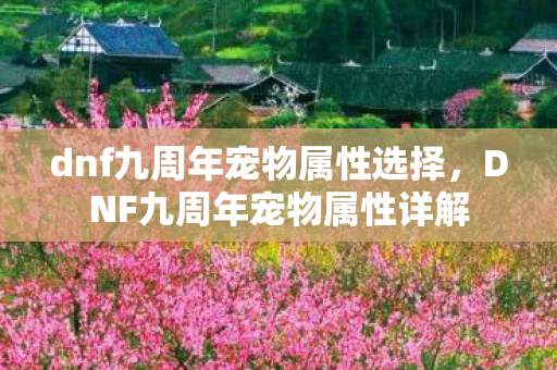 dnf九周年宠物属性选择，DNF九周年宠物属性详解