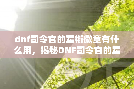 dnf司令官的军衔徽章有什么用，揭秘DNF司令官的军衔徽章背后的荣耀与挑战
