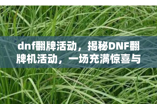 dnf翻牌活动，揭秘DNF翻牌机活动，一场充满惊喜与福利的狂欢盛宴！