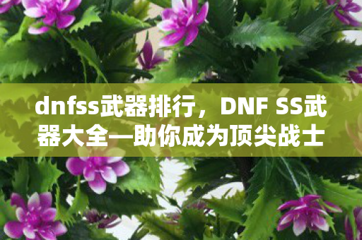 dnfss武器排行，DNF SS武器大全—助你成为顶尖战士的必备利器