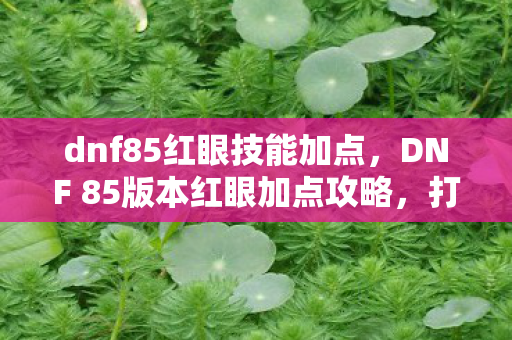 dnf85红眼技能加点，DNF 85版本红眼加点攻略，打造最强战斗体验