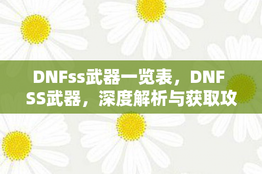 DNFss武器一览表，DNF SS武器，深度解析与获取攻略