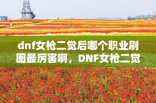 dnf女枪二觉后哪个职业刷图最厉害啊，DNF女枪二觉后，哪个职业刷图最厉害？解析各职业特点，助你做出选择！