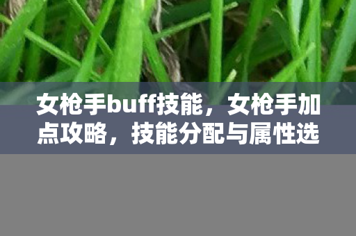 女枪手buff技能，女枪手加点攻略，技能分配与属性选择