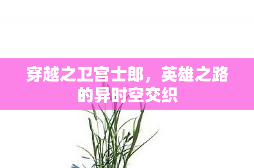 穿越之卫宫士郎，英雄之路的异时空交织