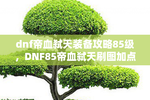 dnf帝血弑天装备攻略85级，DNF85帝血弑天刷图加点攻略