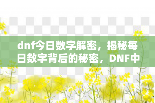 dnf今日数字解密，揭秘每日数字背后的秘密，DNF中的数字解密之旅