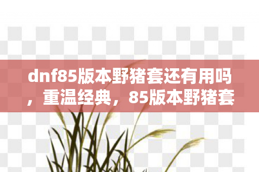 dnf85版本野猪套还有用吗，重温经典，85版本野猪套的传奇故事