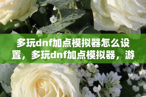 多玩dnf加点模拟器怎么设置，多玩dnf加点模拟器，游戏角色属性提升的新选择