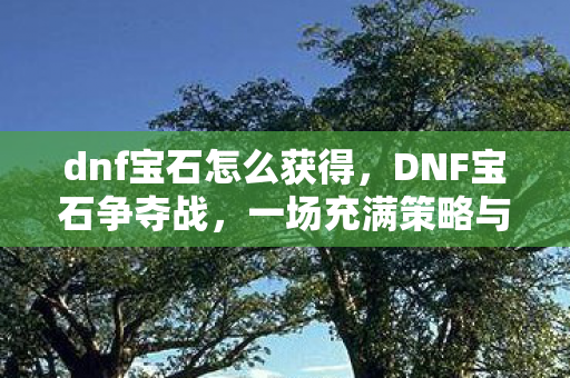 dnf宝石怎么获得，DNF宝石争夺战，一场充满策略与勇气的较量