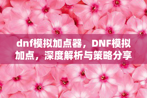 dnf模拟加点器，DNF模拟加点，深度解析与策略分享