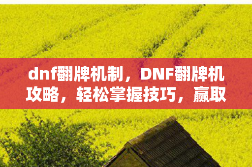 dnf翻牌机制，DNF翻牌机攻略，轻松掌握技巧，赢取丰厚奖励！