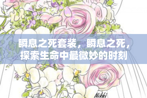 瞬息之死套装，瞬息之死，探索生命中最微妙的时刻