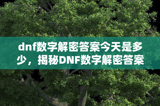 dnf数字解密答案今天是多少，揭秘DNF数字解密答案，探索隐藏的秘密