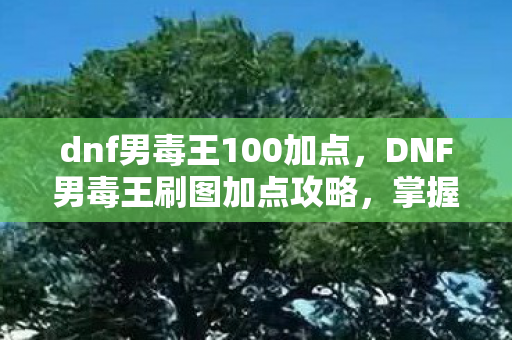dnf男毒王100加点，DNF男毒王刷图加点攻略，掌握技能与属性分配，轻松提升战斗效率