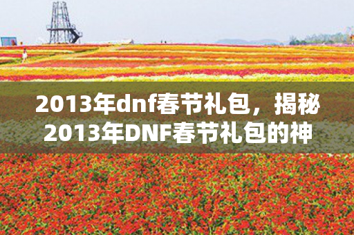 2013年dnf春节礼包，揭秘2013年DNF春节礼包的神秘面纱