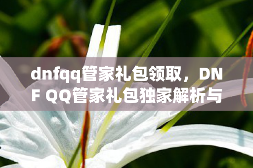 dnfqq管家礼包领取，DNF QQ管家礼包独家解析与获取指南