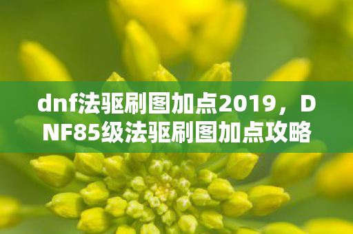 dnf法驱刷图加点2019，DNF85级法驱刷图加点攻略
