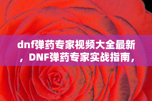 dnf弹药专家视频大全最新，DNF弹药专家实战指南，从入门到精通的视频教程