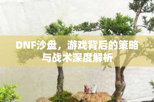 DNF沙盘，游戏背后的策略与战术深度解析