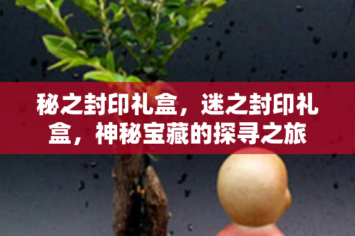 秘之封印礼盒，迷之封印礼盒，神秘宝藏的探寻之旅
