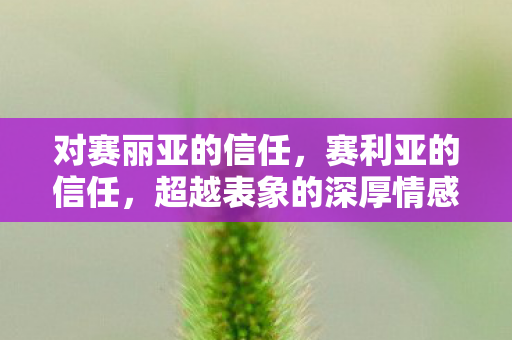 对赛丽亚的信任，赛利亚的信任，超越表象的深厚情感纽带