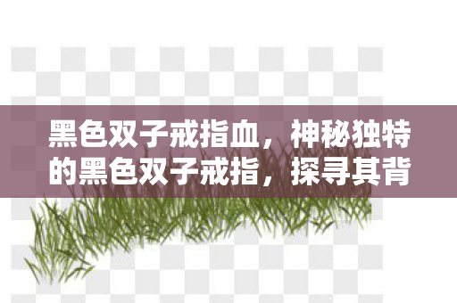 黑色双子戒指血，神秘独特的黑色双子戒指，探寻其背后的故事与象征意义