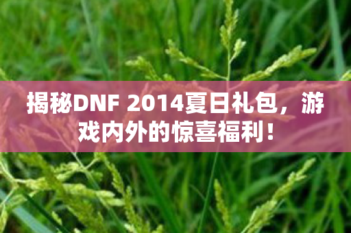 揭秘DNF 2014夏日礼包，游戏内外的惊喜福利！