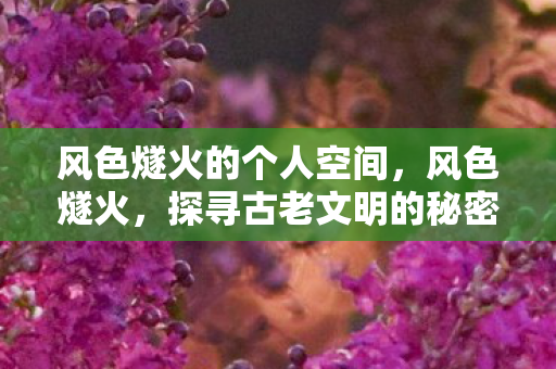 风色燧火的个人空间，风色燧火，探寻古老文明的秘密