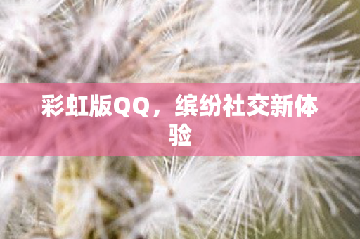 彩虹版QQ，缤纷社交新体验