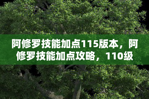 阿修罗技能加点115版本，阿修罗技能加点攻略，110级版本详解