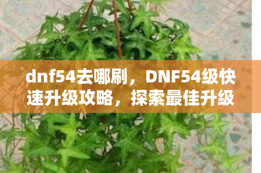 dnf54去哪刷，DNF54级快速升级攻略，探索最佳升级地点