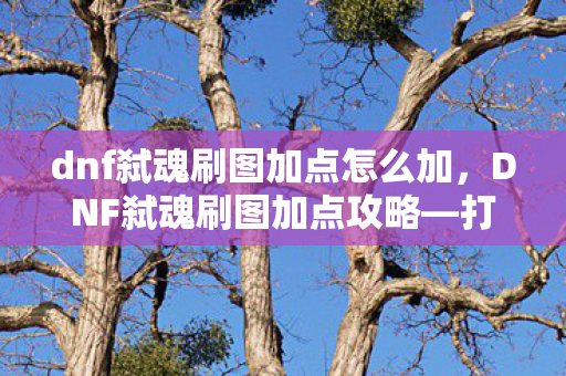 dnf弑魂刷图加点怎么加，DNF弑魂刷图加点攻略—打造高效战斗机器