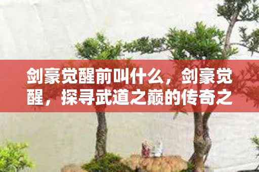 剑豪觉醒前叫什么，剑豪觉醒，探寻武道之巅的传奇之旅