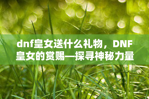 dnf皇女送什么礼物，DNF皇女的赏赐—探寻神秘力量的馈赠