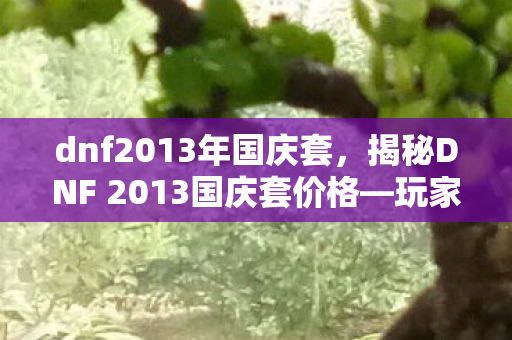 dnf2013年国庆套，揭秘DNF 2013国庆套价格—玩家的福音还是商家的炒作？