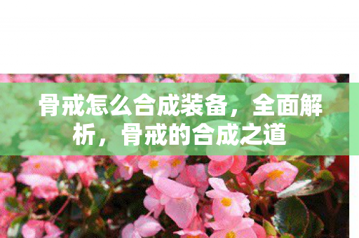 骨戒怎么合成装备，全面解析，骨戒的合成之道