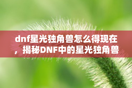 dnf星光独角兽怎么得现在，揭秘DNF中的星光独角兽获取攻略