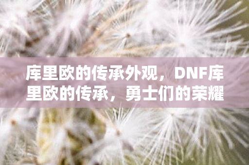 库里欧的传承外观，DNF库里欧的传承，勇士们的荣耀之路