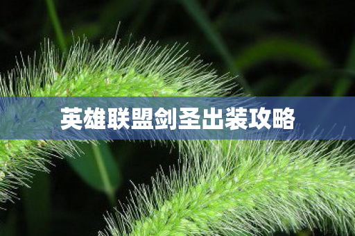 英雄联盟剑圣出装攻略